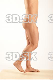 Leg reference of Bystrik 0015